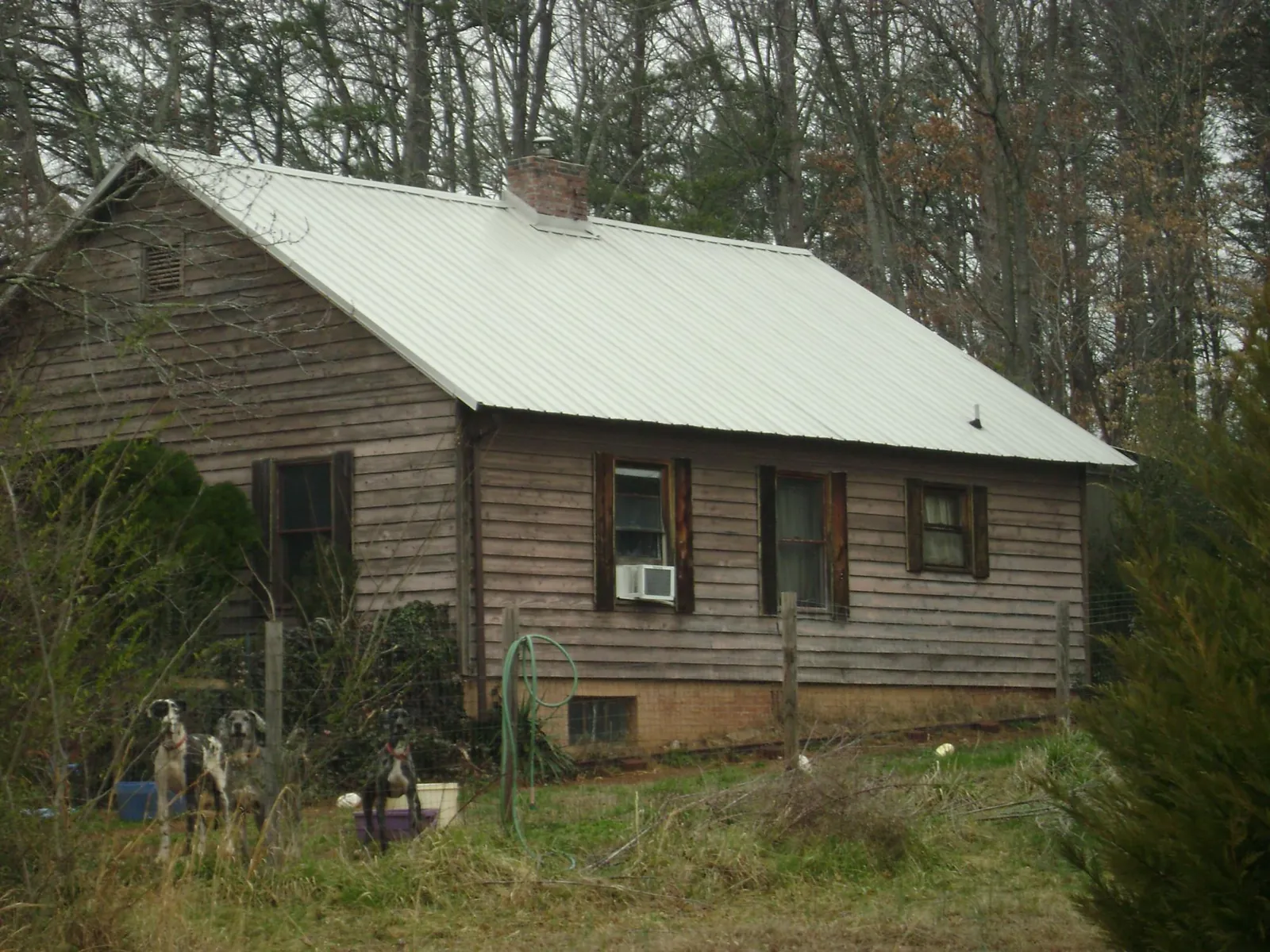 White metal roof on an old wood sided farmhouse, from a Asphalt Shingle Roof Repair job in Mc Ewen